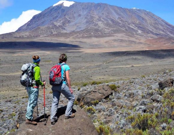 7 Days Kilimanjaro Climbing Via Lemosho Route