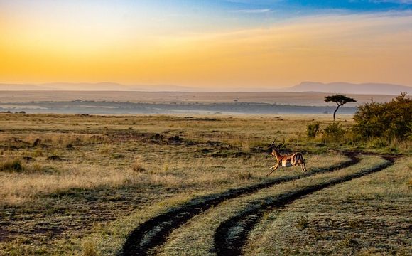 10-Day Serengeti Migration Itinerary 2025 Special Package