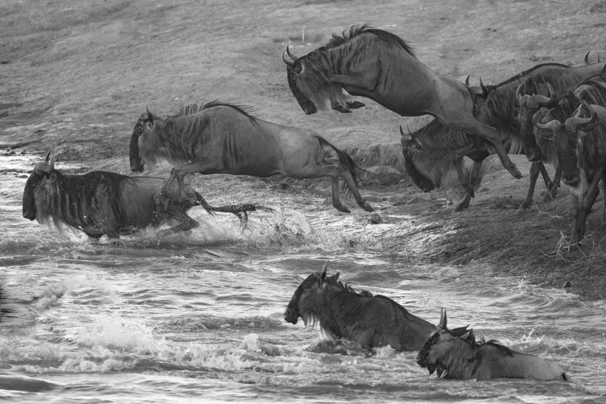 11 DAYS SAFARI TRIP TANZANIA ZANZIBAR