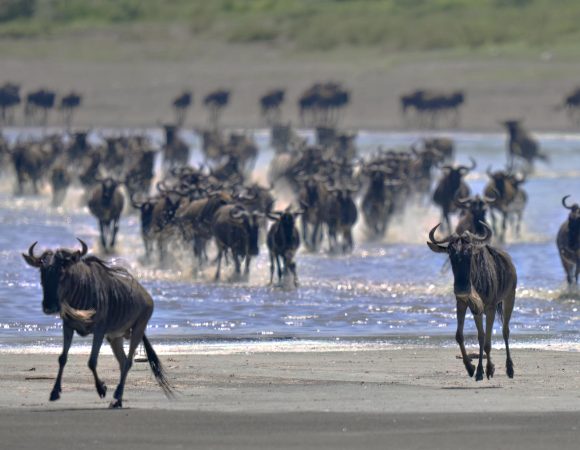 14-Day Luxury Honeymoon Safari & Zanzibar (All-Inclusive)