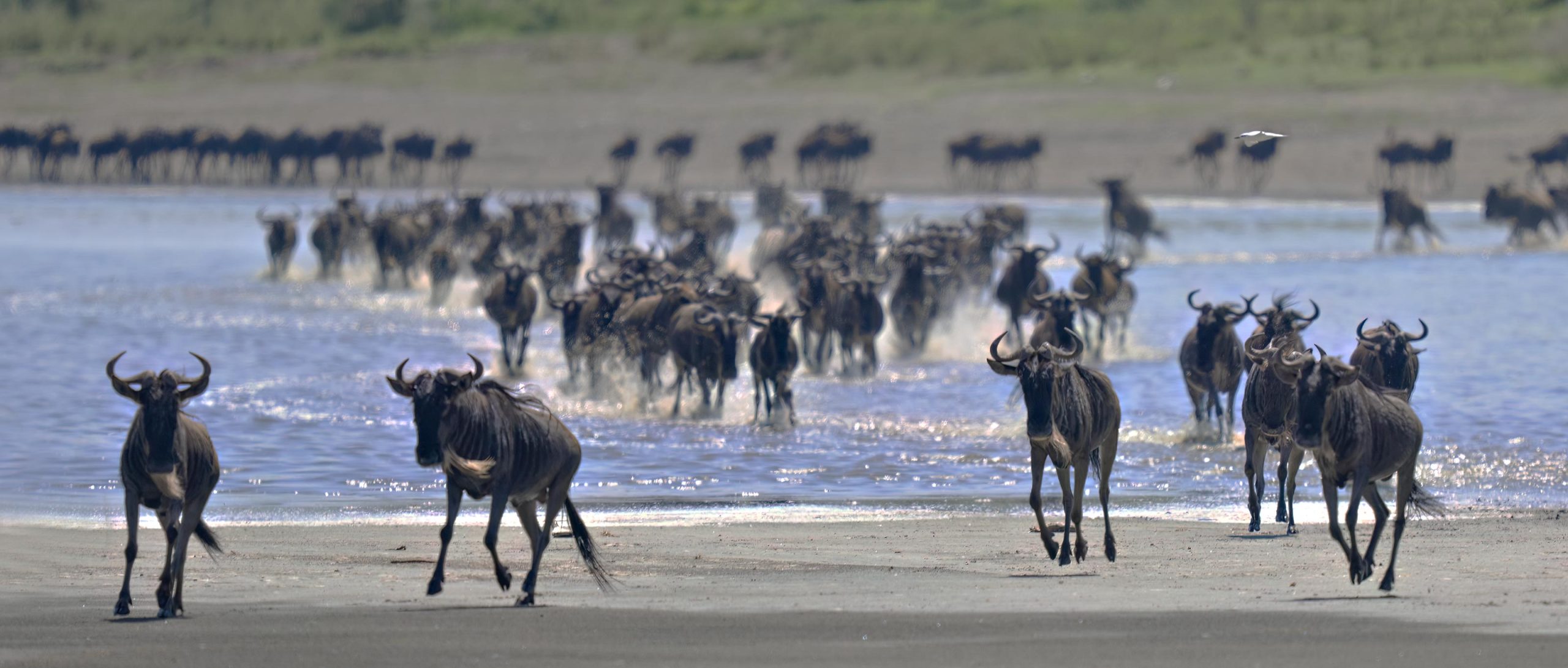 14-Day Luxury Honeymoon Safari & Zanzibar (All-Inclusive)